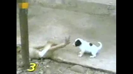 А това какво е ???? 