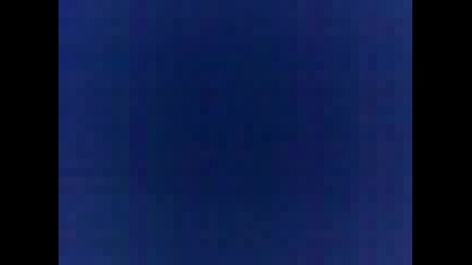 Corsata bie