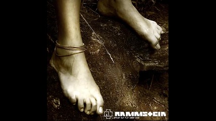 Rammstein - Haifisch (bg subs) 