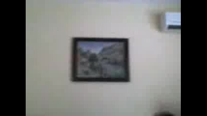 Crazy Human Attack