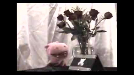 Hobie Hippo Performs Barry White Just The Way You Are 