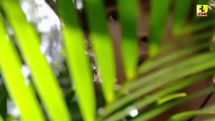video • Fracture Design - The Beginning of a New Day