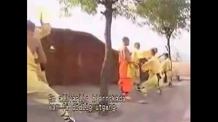 True Power Of Shaolin Kung Fu