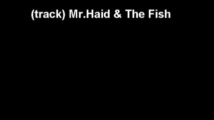 Mr.haid & The Fish and 42 (track) 