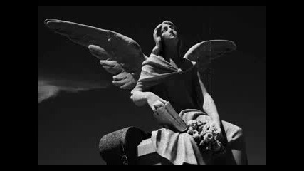Dead can Dance In Power We Entrust The Love Advocated