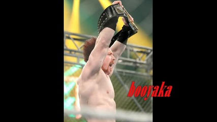 Undertaker Jeff Hardy And Sheamus Tribute