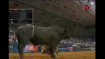 Tulsa Short Go Mike Lee Vs Black Smoke