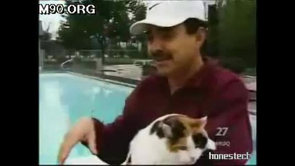 Scuba Cat