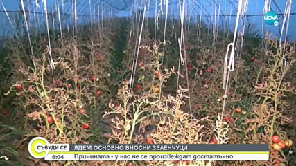 България е третият вносител на турски домати в света