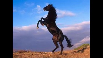 Declan Flynn and Brian Wayy - Ease My Pain