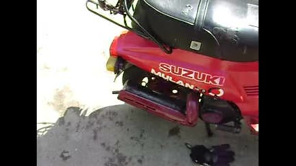 Suzuki - qingqi