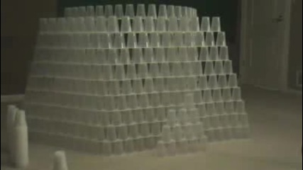 1 Guy 600 Cups 