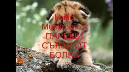 Halid Muslimovic - Ljute suze bola - Bg Prevod - www.uget.in