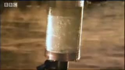 Extremophiles - weird animals - We Are The Aliens - Bbc Space 