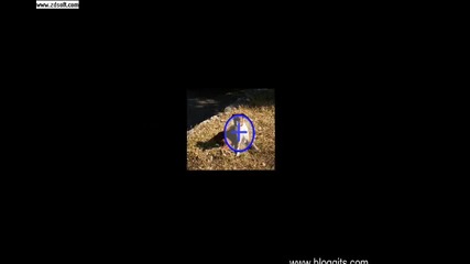 _very Funny Video_ (the maze _ missing dog)