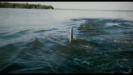 Shark Night 3d - Trailer