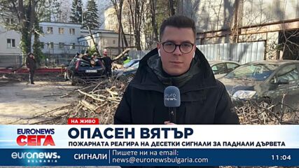 Пожарната реагира на десетки сигнали за паднали дървета