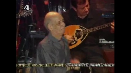 Mitropanos - Roza live 