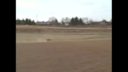 Yfz 450 wheelie 1