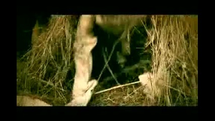 Whitney Peyton - Crazy Official Video Hd