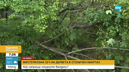 Вандали секат дървета в квартал в София