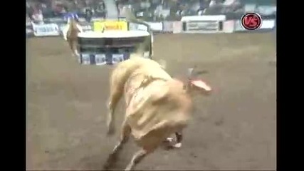 Ross Coleman Vs Say When 
