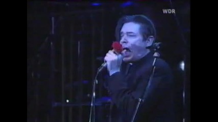 Nick Cave the Bad Seeds - Where the Wild Roses Grow 