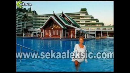 Seka Aleksic - Boli stara ljubav Remix -