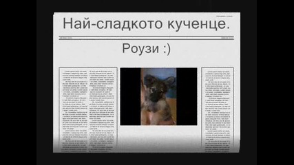 Роузи-най-сладкото кученце