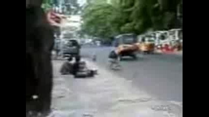 Motorbike Monkey 