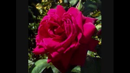 Nat King Cole - A Beautiful Friendship 
