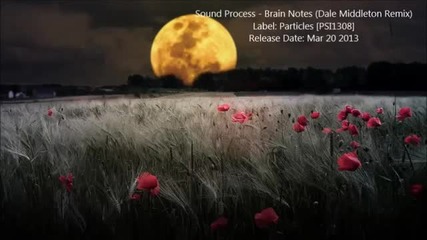 Sound Process - Brain Notes (dale Middleton Remix)
