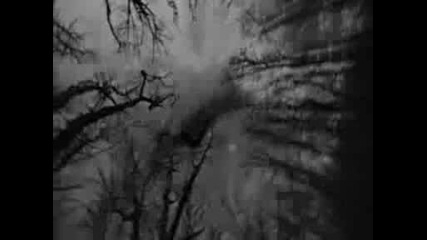 Bella Edward - Disturbia Twilight Mix