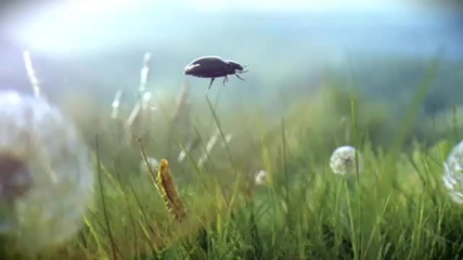 Вашият Volkswagen Beetle може ли това ... 