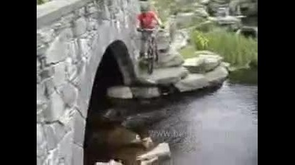 Bike King 
