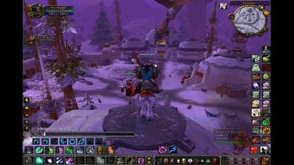 Everlook Bug