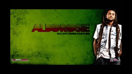 Alborosie-no cocaine