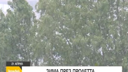 В "Здравей, България" на 21 април очаквайте