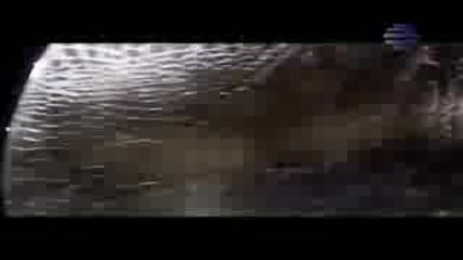 Galena & Malina - Mnogo sladko.flv