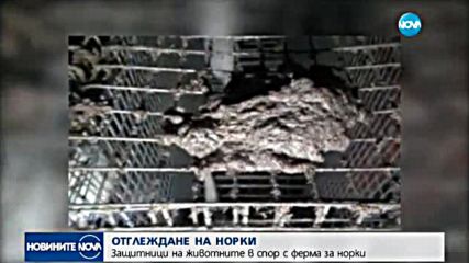 Новините на NOVA (04.09.2017 - лятна късна)