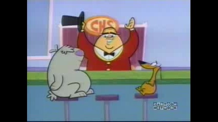 Two Stupid Dogs