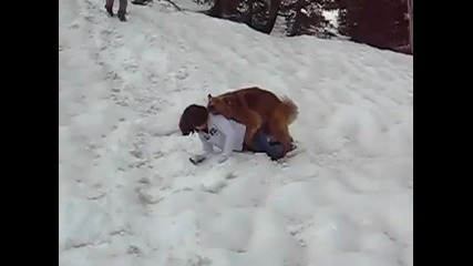 Едно куче което не си губи времето в приказки (смях)
