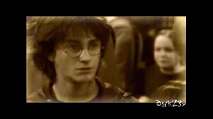 Harry And Harmione_Love