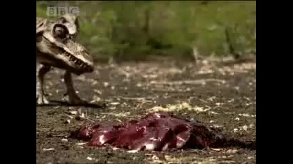 T-rex - attack of the dinosaur