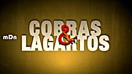 Cobras y Lagartos 066