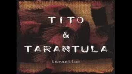 Tito & Tarantula - Angry Cockroaches 