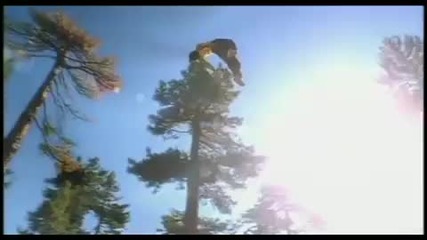 Класика: Nelly Furtado - I'm Like A Bird