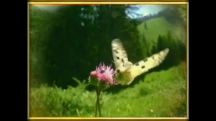 Nostalgia - Love songs for piano and orchestra.hd
