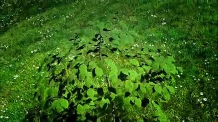 Красотата в природата