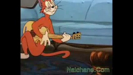 Tom And Jerry Lezginka 2.avi